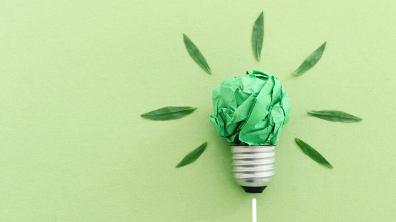 Creating A Sustainable eLearning Environment